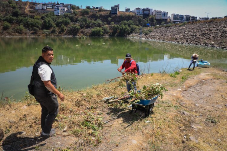 Llegan Autoridades de Naucalpan a limpieza de Presa Madin