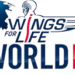 México corre por la esperanza en el Wings for Life World Run 2026 rumbo a un récord mundial por una cura