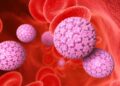 Diagnosfera lanza en México modelo de autotoma molecular para modernizar el diagnóstico de salud sexual y prevenir el avance del VPH