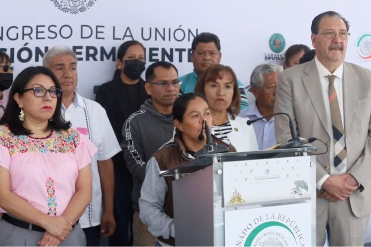 Diputadas y diputados del PT afirman que programa de reordenamiento de transporte del Gobierno de Oaxaca afecta a concesionarios y usuarios