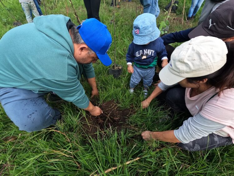 GOBIERNO DE NAUCALPAN E INICIATIVA PRIVADA EN JORNADA DE REFORESTACIÓN EN EL PARQUE LA HOJA
