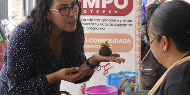 En Coyotepec Jornadas de Salud y del Bienestar Comunitario