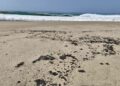 Nuevo derrame de hidrocarburo afecta cuatro playas de Salina Cruz, Oaxaca, en plena temporada vacacional