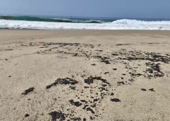 Nuevo derrame de hidrocarburo afecta cuatro playas de Salina Cruz, Oaxaca, en plena temporada vacacional