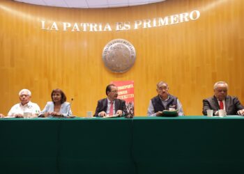 Necesarias, reformas para mejorar condiciones de concesionarios, trabajadores y usuarios del transporte público: Margarita García