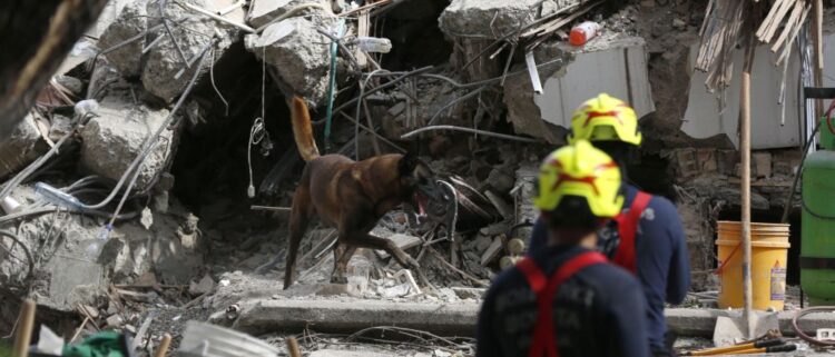Terremoto en Colombia: Asciende a 239 la cifra oficial de muertos tras sismo de magnitud 7.4