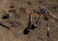 Buscadoras de Sonora encuentran una fosa con restos óseos y más de 50 casquillos percutidos