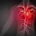 Cardio-oncología, cuidado del corazón durante y después del cáncer