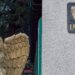 IMSS niega «carencias» en hospital de Durango donde murieron cinco bebés y Cofepris investiga; padres de los neonatos acusan opacidad