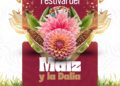 Coyotepec florece entre maíz y tradición con el Festival del Maíz y la Dalia 2026