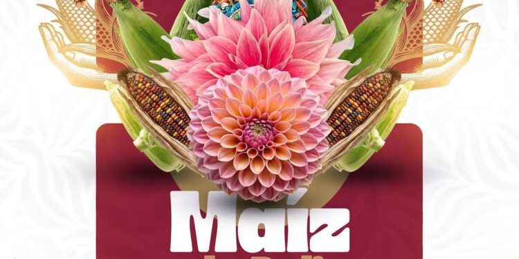 Coyotepec florece entre maíz y tradición con el Festival del Maíz y la Dalia 2026