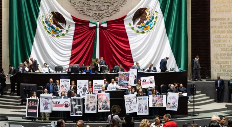 Morena y aliados aprueban la llamada “Ley antimemes”; PT acusa a la oposición de falta de argumentos