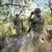 EU despliega 500 elementos militares en la frontera con México y Marina anuncia operativo espejo en Tamaulipas